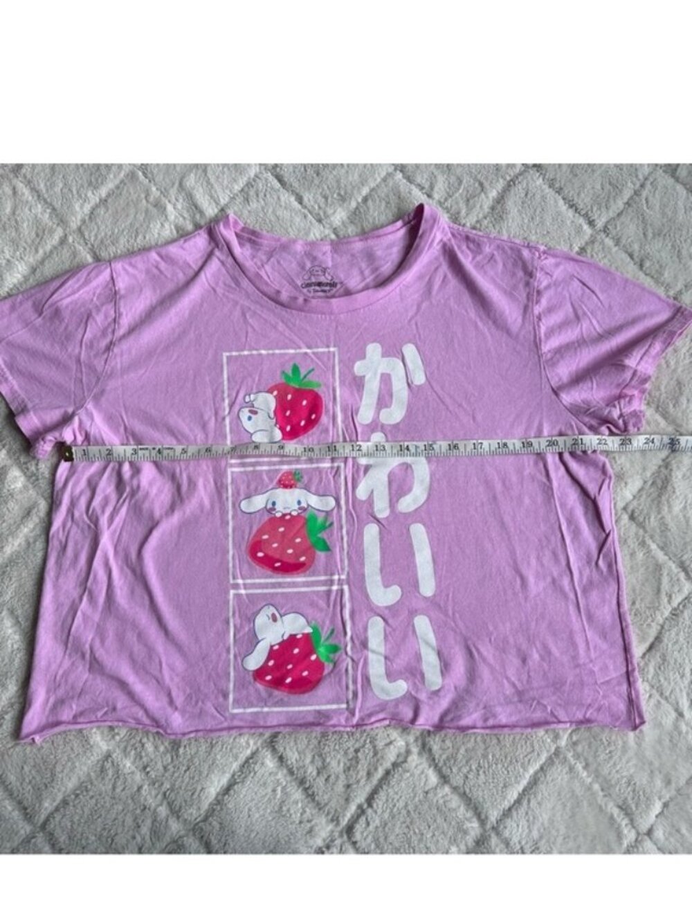 Cinnamoroll | Cropped Strawberry Kawaii Graphic T-Shirt | Size Large - Picture 9 of 10